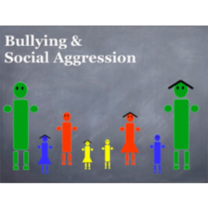 Bullying & Social Aggression icon