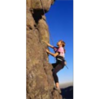 Starting Point: Peer Review