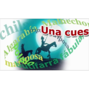 Una cuestión de lengua icon