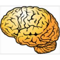 How Your Brain Works icon