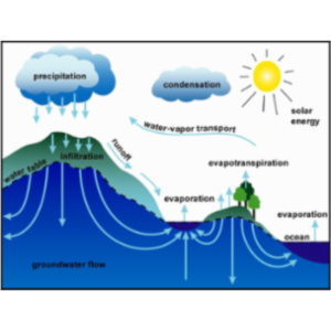 The Nitrogen Cycle and Water Quality icon