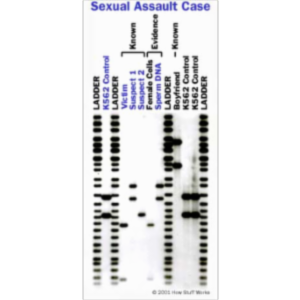 How DNA Evidence Works icon