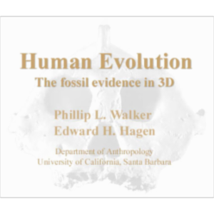 Human Evolution:  The fossil evidence in 3D icon