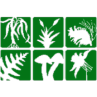 The Botanical Society of America Online Image Collection