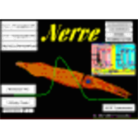 Propagated Action Potential