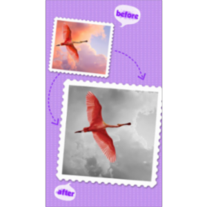 Color Effects FX HD Free App for iOS icon