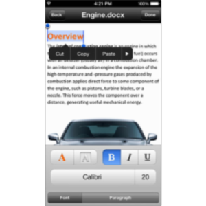 Quickoffice App for iOS icon