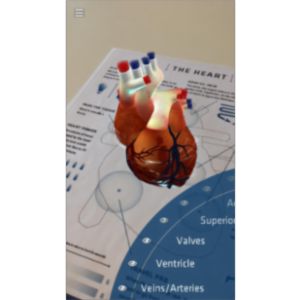 Anatomy 4D App for iOS icon