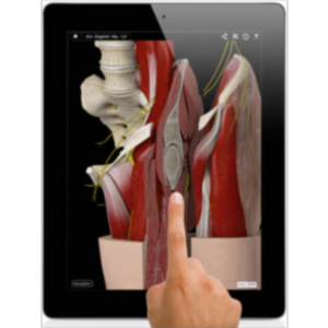 Hip Pro III with Animation App for iPad icon