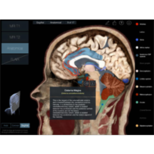 Radiology - Head App for iPad icon