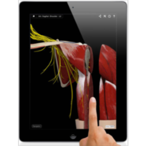 Shoulder Pro III with Animations App for iPad icon