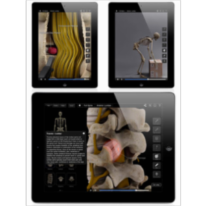 Spine Pro III App for iPad icon