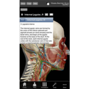 Human Anatomy Atlas App for iOS icon