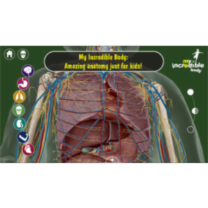 My Incredible Body App for iOS icon