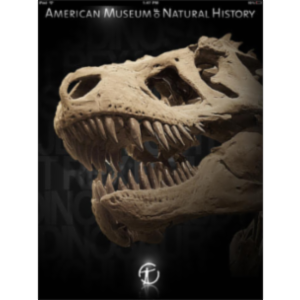 DINOSAURS App for iPad icon