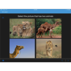 See.Touch.Learn. App for iPad icon