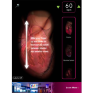 Virtual Heart App for iPad icon