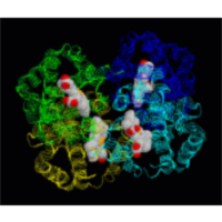 Globin Gene Server icon