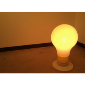 MPH Capstone Honors Recipients 2011 icon