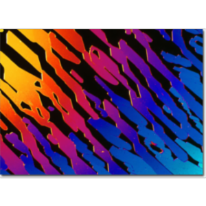 The Phytochemical Collection icon