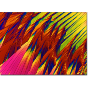 The Vitamin Collection icon