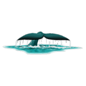 Cetus Links - Object-Orientation