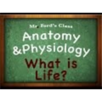 Introduction Anatomy Physiology (01:01): What Is Life?