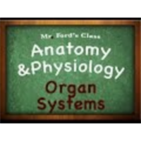 Introduction Anatomy Physiology (01:04): Organ Systems icon