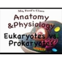The Human Cell (03:02): Eukaryotes vs. Prokaryotes icon
