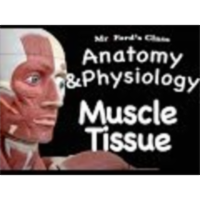 The Muscular System : Muscle Tissue (09:01) icon