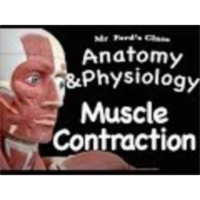 The Muscular System : Types of Muscle Contraction (09:07) icon