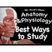 The Muscular System : Best Ways to Study the Muscular System(09:08) icon