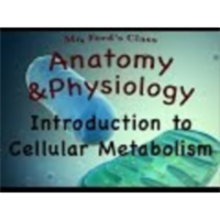 Cellular Metabolism For Anatomy and Physiology : Introduction (04:01) icon