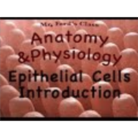 The Integumentary System : Introduction to Epithelial Cells (06:01) icon