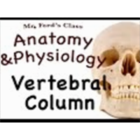 The Skeletal System : Vertebral Column (07:10) icon