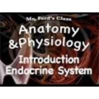 The Endocrine System : Introduction to the Endocrine System (12:01) icon