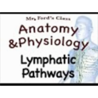 The Lymphatic System : Lymphatic Pathways (15:02) icon