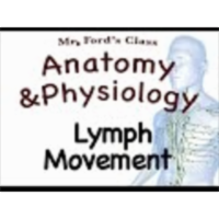 The Lymphatic System : Lymph Movement (15:03) icon