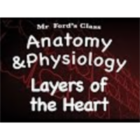 The Cardiovascular System : Layers of the Heart (14:02) icon