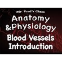 The Cardiovascular System : Introduction to Blood Vessels (14:08) icon