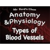 The Cardiovascular System : Types of Blood Vessels (14:09) icon