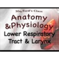 The Respiratory System : Lower Respiratory Tract and Larynx (16:03) icon