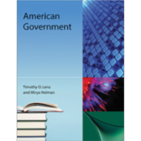 American Government icon