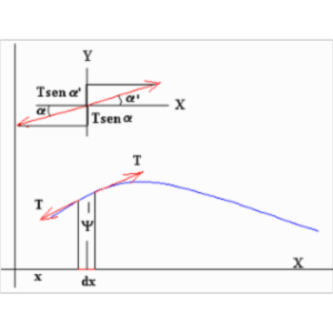 Velocity of Propagation of a Transverse Wave