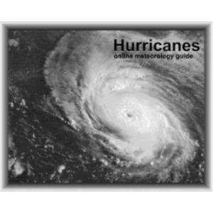 Hurricanes icon