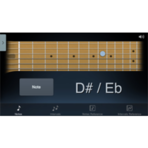 Fretronome App for iOS icon