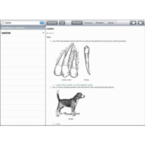 Dictionary App for iPad icon