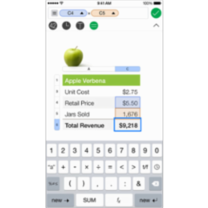 Numbers App for iOS icon