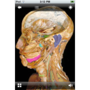 Dissection App for iOS icon
