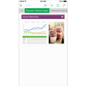 Numbers App for iOS icon